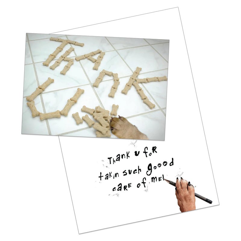 Dog Speak Thank You Letter â€“ Pet Sitter Appreciation Card â€“ Dog Paw with Treats Design, 4.75" x 6.75" â€“ Includes Envelope, Thoughtful Pet Care Thank You - Image 4